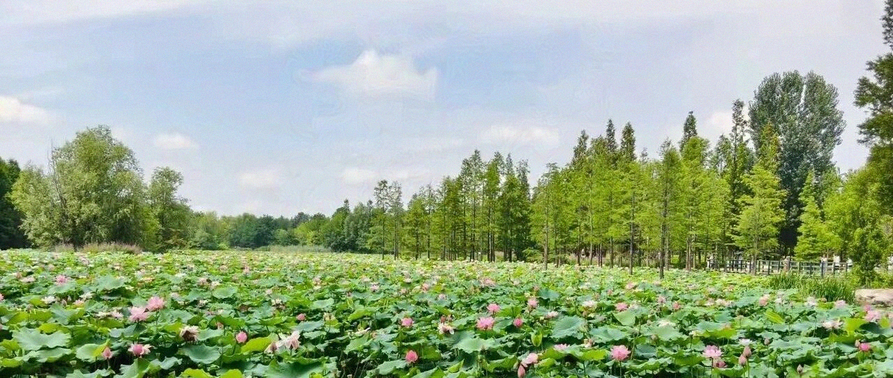 缠论研报：HNB（加热卷烟）正在走来