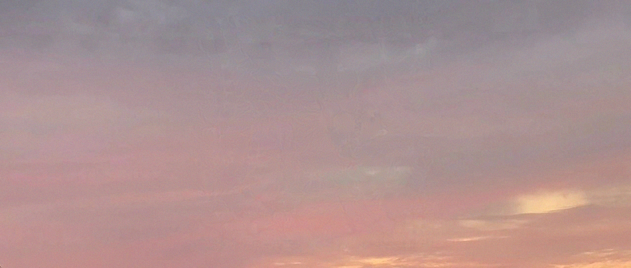 烟草评吸与感官评价（四）